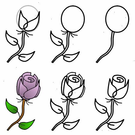 Hoe een roos te tekenen. De vrije hand tekening.
