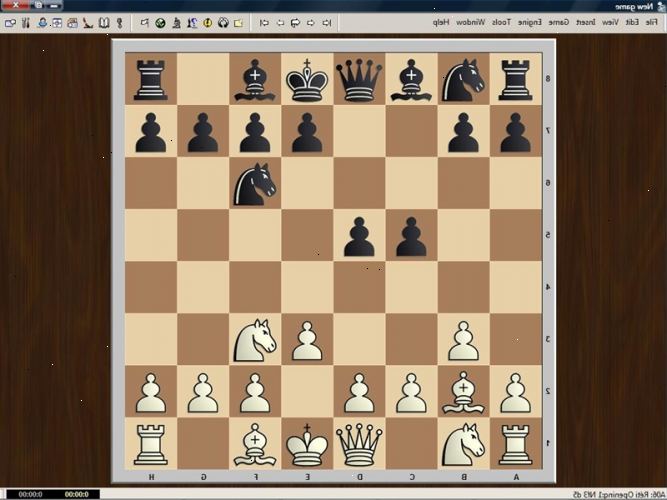 Hoe kan ik de vroeg - spel in schaken. Een snelle primer op standaard schaaknotatie.