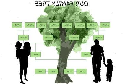 Hoe maak je een stamboom op te bouwen. Verzamel informatie.