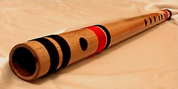 Volg stap-voor-stap instructies om te leren hoe fluit instrumenten te spelen. Vervolgens, vertrouwd te raken met uw nieuwe instrument.